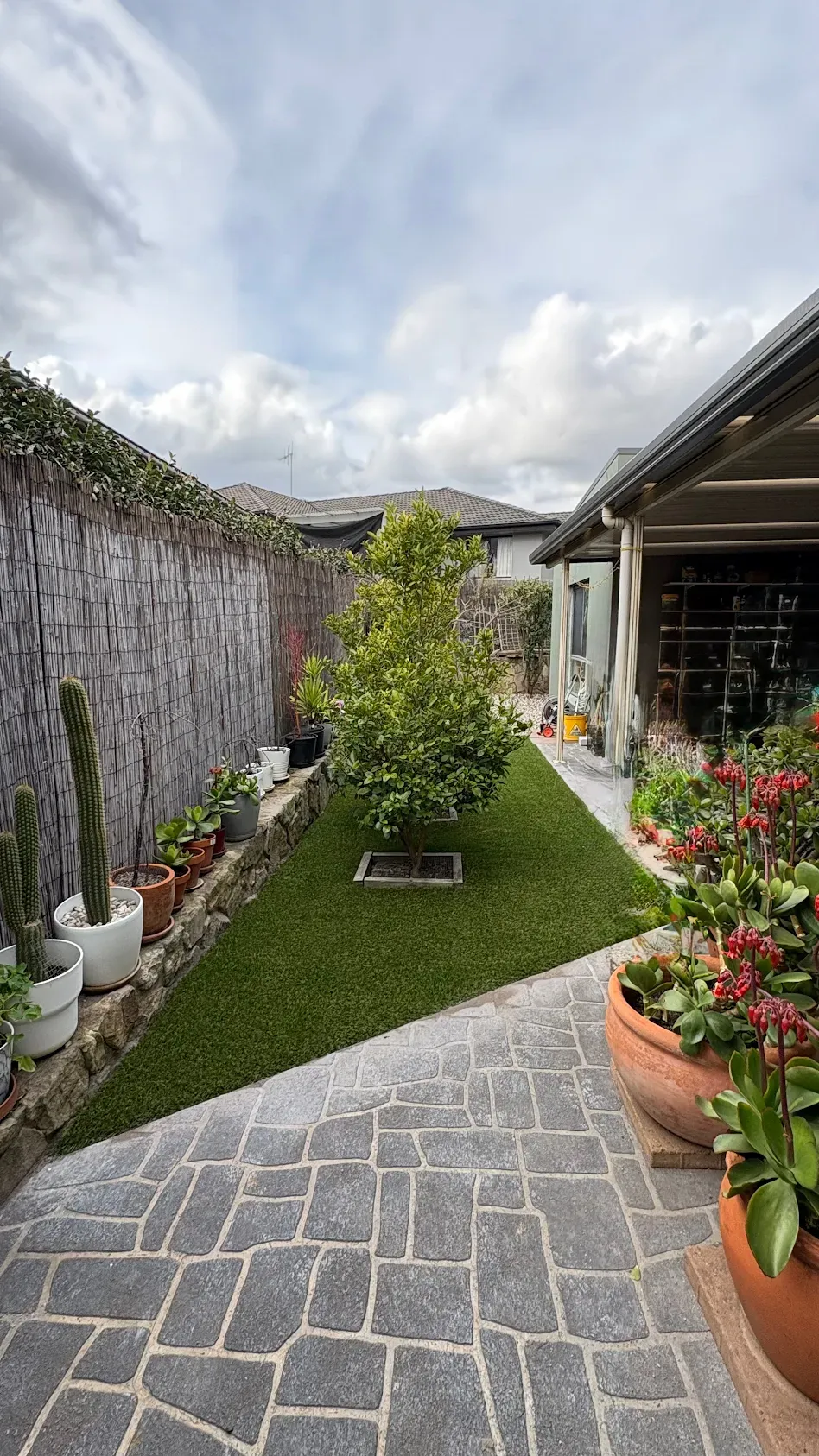 Completed Oasis Blend lawn around established trees at Coy and Vino’s home in Gordon