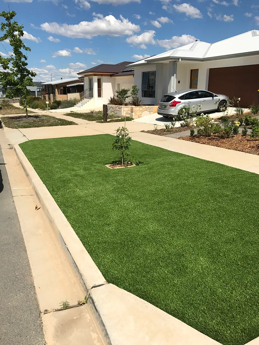 Artificial Lawn inspiration project 6